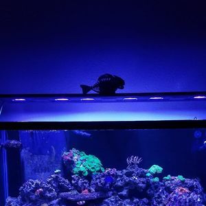 Meet your Posher, Bobby